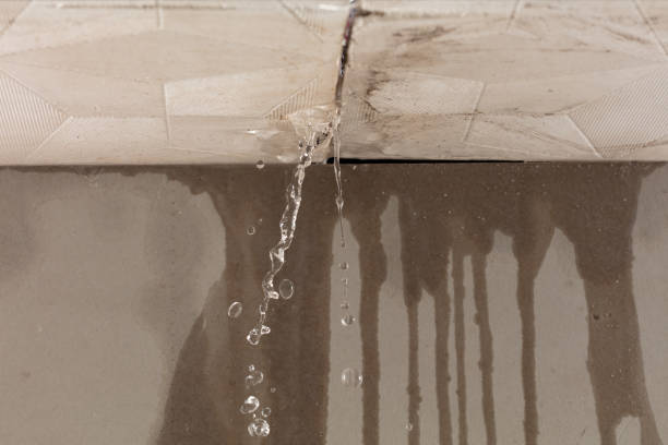 Professional Structural Drying technician working in Nesbit, MS